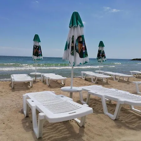 Belisima 204 B Rawda