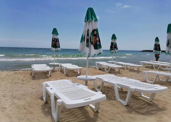 Belisima 204 B Rawda